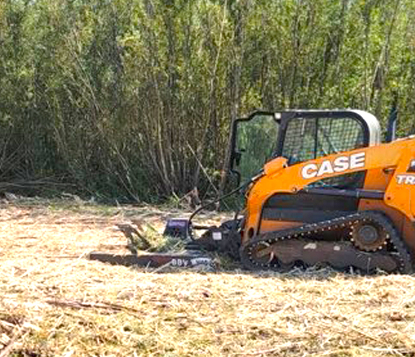 Four Seasons Lawn Care